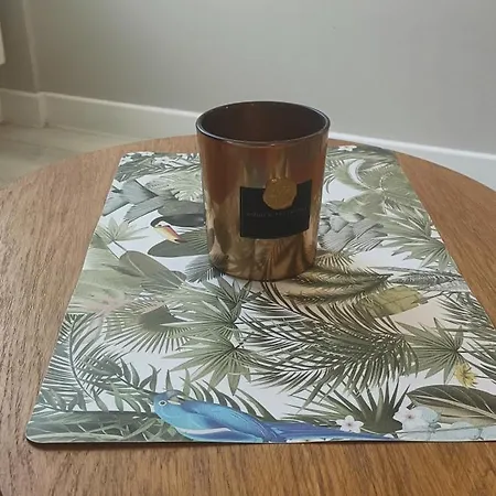 T2 Style Tropical Confort Centre * Angoulême