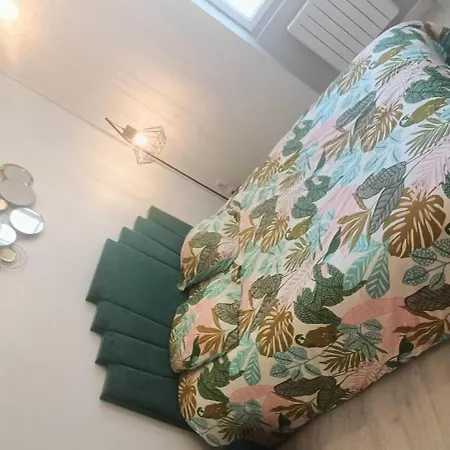 T2 Style Tropical Confort Centre * Angoulême